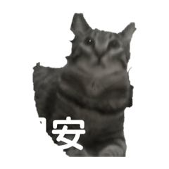 我家寵物の歡樂世界