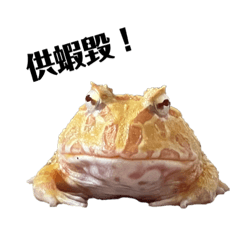 奧嘟嘟の日常！