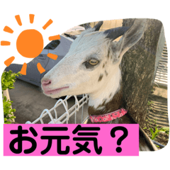 sayuri_20220505181508