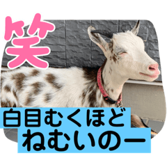 sayuri_20220505202100