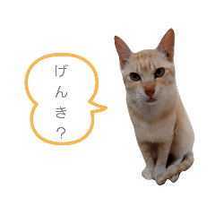 Chie_20220505202243