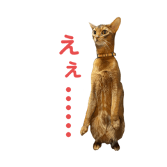 suzu_20220505211119