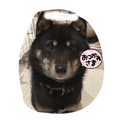 Yuina_20220505194605