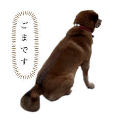 MIKO_20220505221250