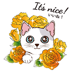 Cats in the Flower Garden (Pop-up)