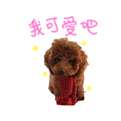 我家果果最可愛 1