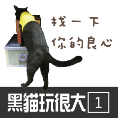 黒い猫プレイヤー -1- リアルキャット