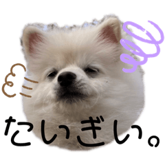 Peace_20220505183534