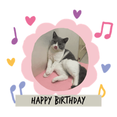 阿嚕嚕的日常用語2.0