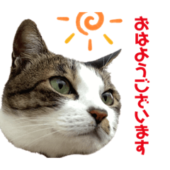 akari_20220505232931