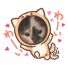 naho_20220505233322
