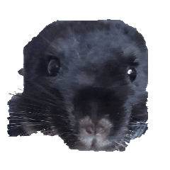 kazuki_20220505193221