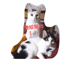 阿喵Q世界