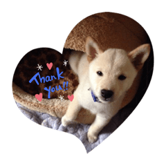 amagami_20220506022458