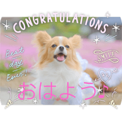 yukari_20220506081112