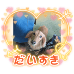 mizuki_20220506085430