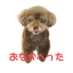 ak_20220505211458