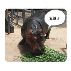 Lun's自用