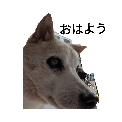 kazuki_20220505222227