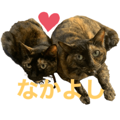 hana_20220506091637