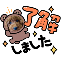 yuka_20220506113925