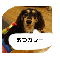 Yukari_20220506105148