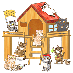 Cat Cat Army Secret Base