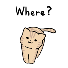 Cream tabby cat sticker 3 (English)