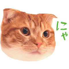 Japanese cat "Yatsuhashi-Kun" stamp