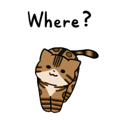 Bengal cat sticker 3 (English)