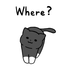 Black cat with white socks 3 (English)