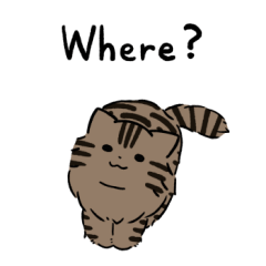 Long hair brown tabby cat 3 (English)