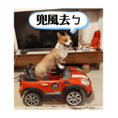 科咪ㄚ