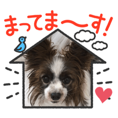 Hana_20220506113130