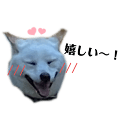 ayumi_20220506155658