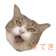 Chiyo_20220506173530