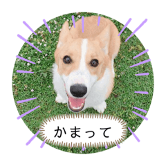 yuto_202205061734461