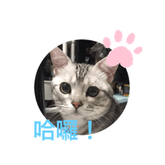 拿鐵日常2