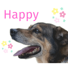 matsu_20220506204002