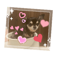 hikari_20220506213326