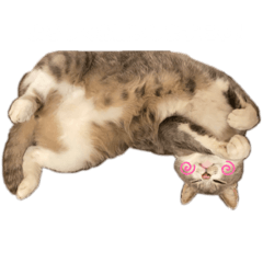 omg_20220506235713