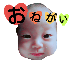 Aoi Baby2*