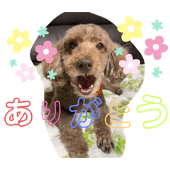 Saori_20220506211504