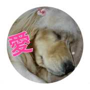 riko megu photo stamp 2