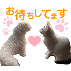 RISA_20220507104728