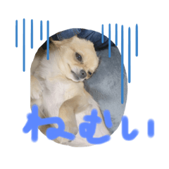 tomomi_20220507134244