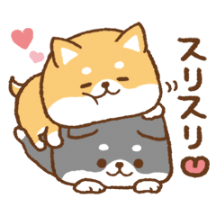 love!Shiba Inu to use everyday03