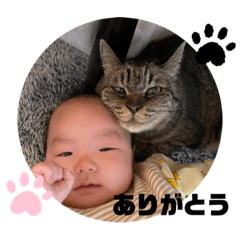 akari_20220507124607