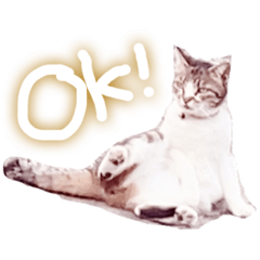 みーちゃんって本名いちこちゃんだよ - LINE スタンプ | LINE STORE