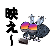 Photogenic flies
